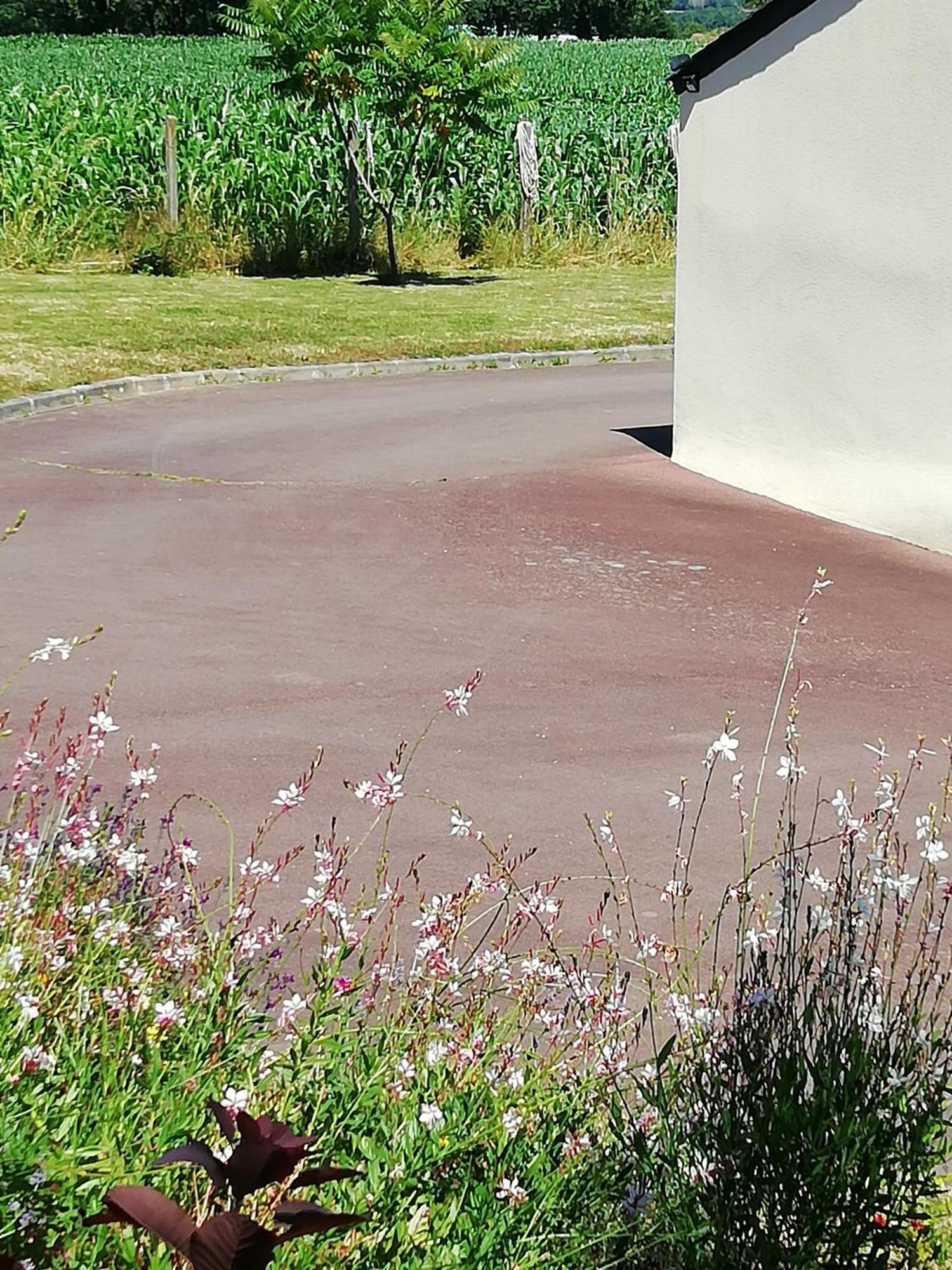 Kerlan Bed and Breakfast Béganne Exteriör bild